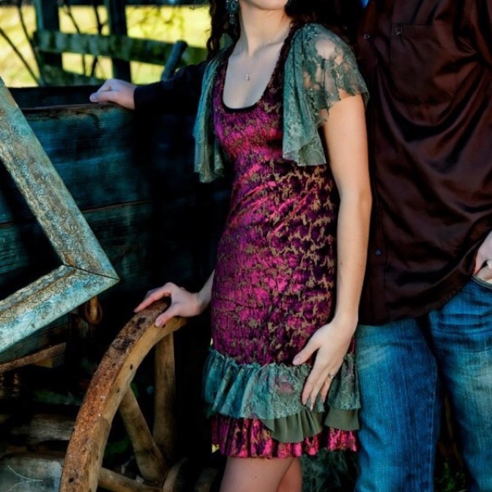 Gorgeous velvet and sheer lace dress worn 2x