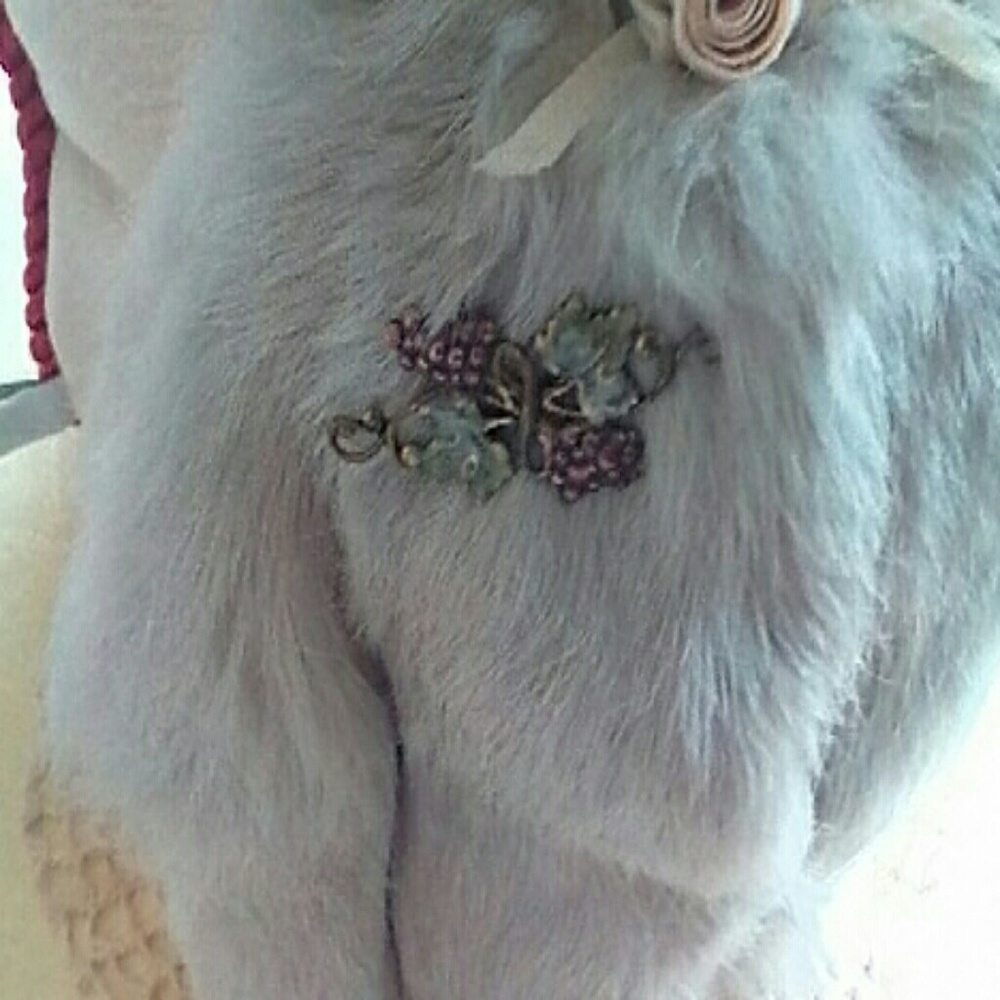 SWEET SECRETS VINE GRAPES BROOCH