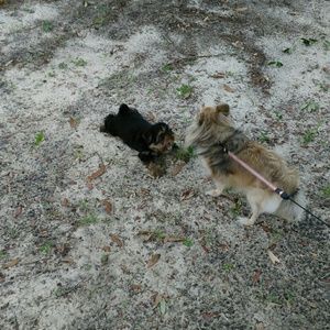 Meet your Posher, Jill