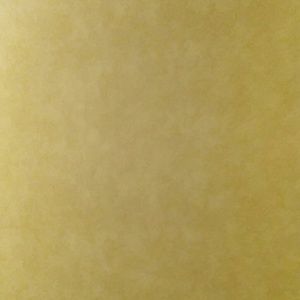 Meet your Posher, Kenny