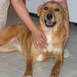 Meet your Posher, Lee