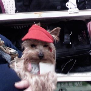 Meet your Posher, Kathy