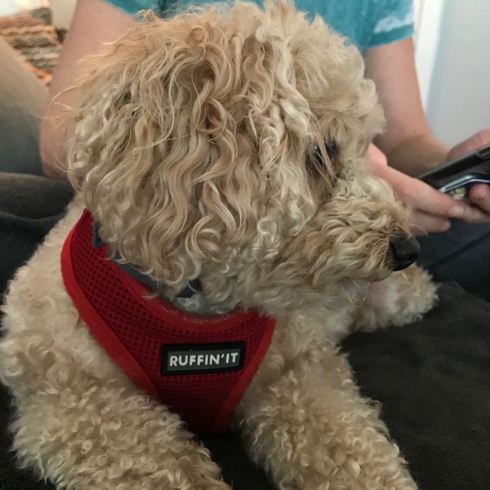 Meet your Posher, Brooke