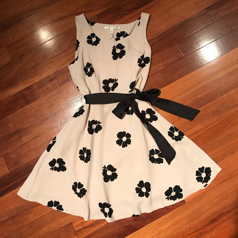 🎉HP 6/15🎉 LC floral dress