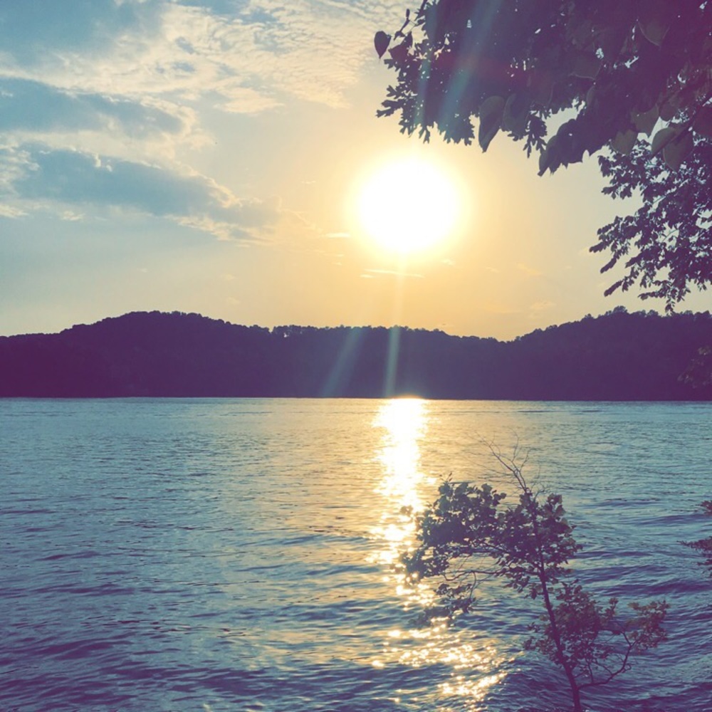 Everyyyyything! Moving sale. Bundle and save!