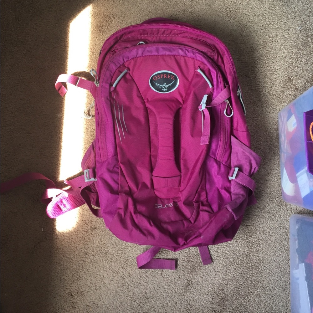 Osprey Backpack
