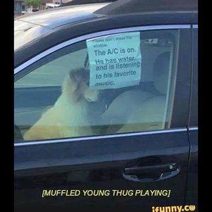 Meet your Posher, Vincent