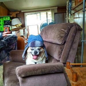 Meet your Posher, Crystal