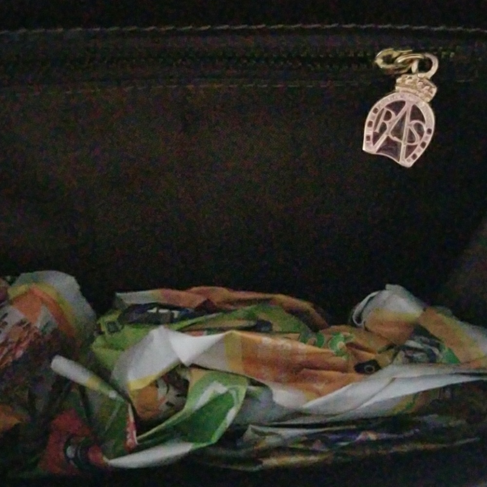 🐎🍃Antica Selleria Ritz purse🍃🐎 - Picture 4 of 8