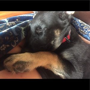 Meet your Posher, Nichole