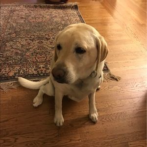 Meet your Posher, Jackie