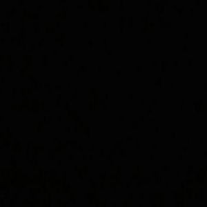 Meet your Posher, Vladimir