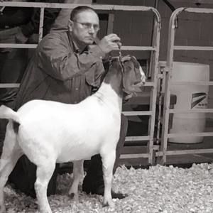 Meet your Posher, Monty