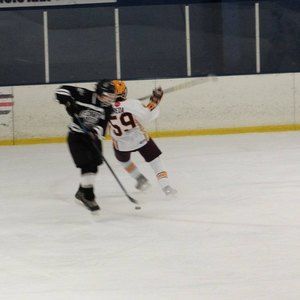 Meet your Posher, Max