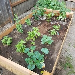 Meet your Posher, Samantha