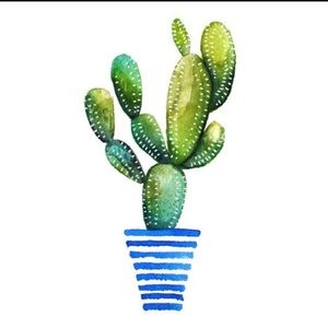 ¡Hola Chicas!💗🌵