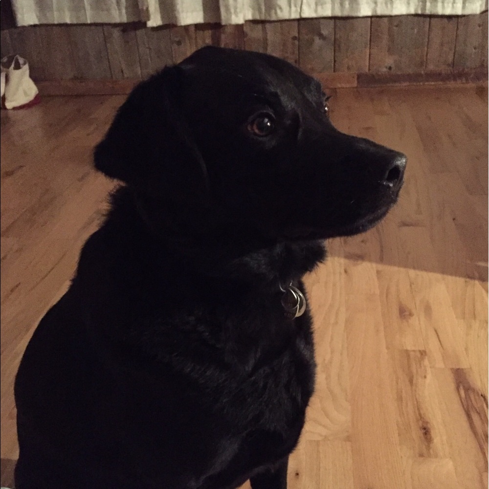 Meet your Posher, Carrie