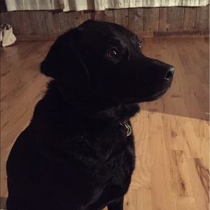 Meet your Posher, Carrie