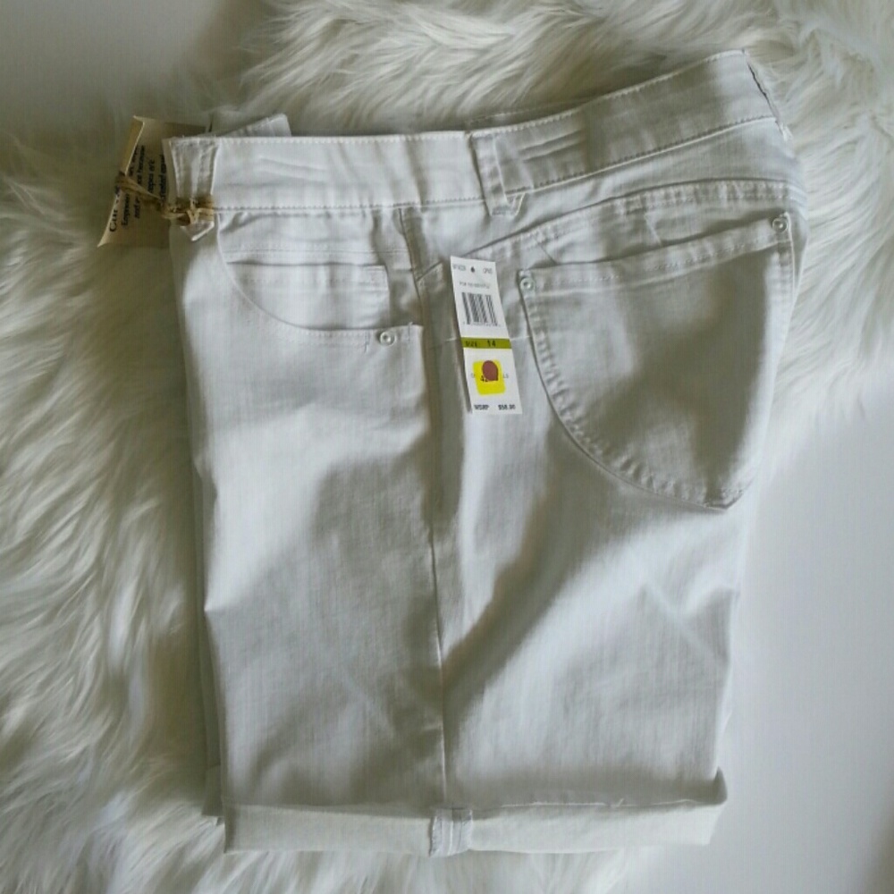 New Democracy Shorts