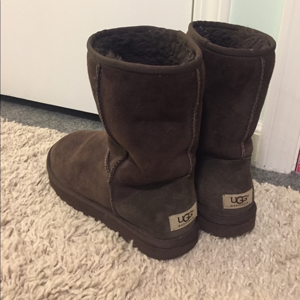 Chocolate Brown Short UGGs