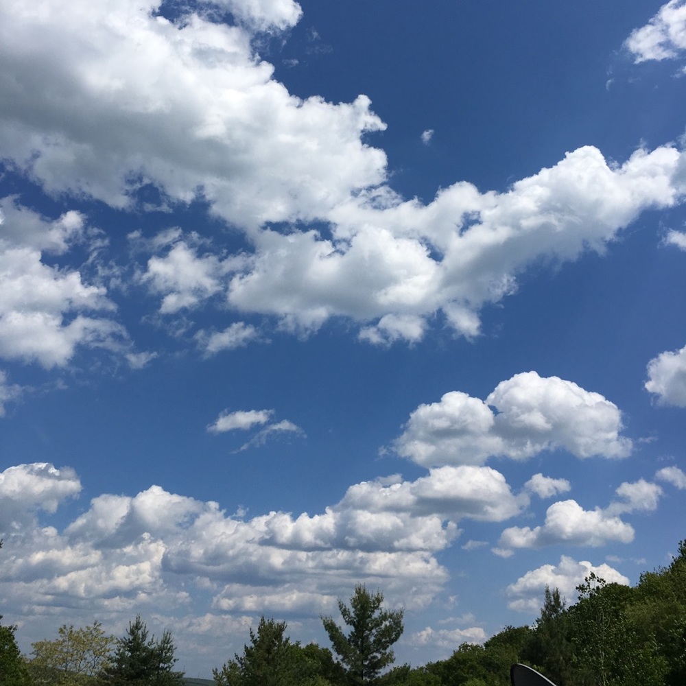 Meet your Posher, Leah