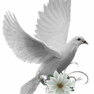 Meet your Posher, Sonia