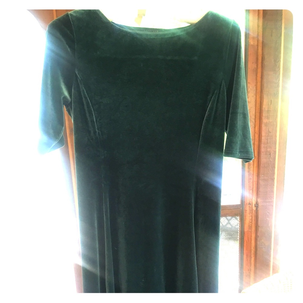 Green velveteen 3/4 length sleeved dress.