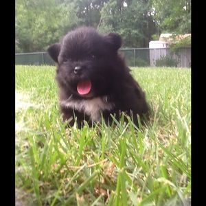 Meet your Posher, Vicky