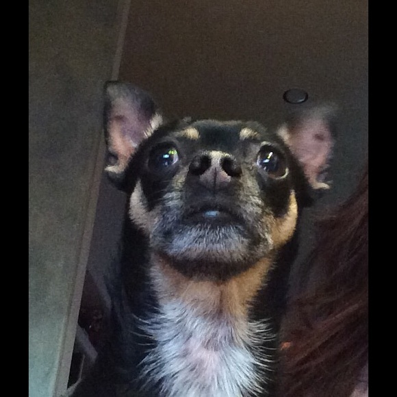 Meet your Posher, Monica - Picture 1 of 1