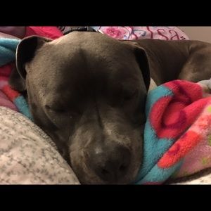 Meet your Posher, Debbie