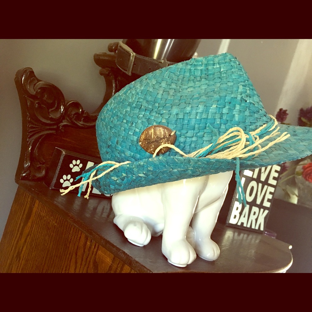 Fun turquoise fedora