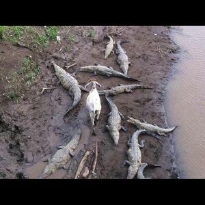 Meet your Posher, Wayne