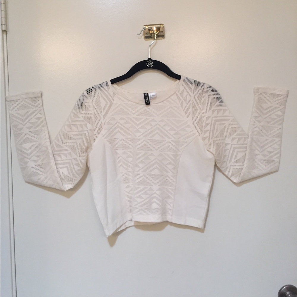 H&M White Mesh Long Sleeve Crop Top