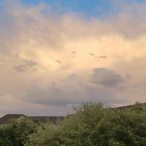 Meet your Posher, Vernon