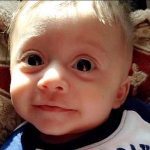 Meet your Posher, محمد حمدان