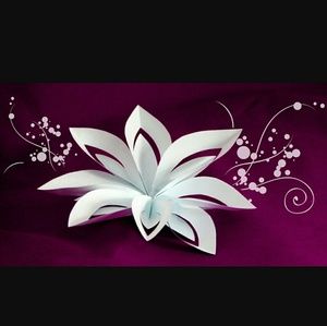 Meet your Posher, Hermine