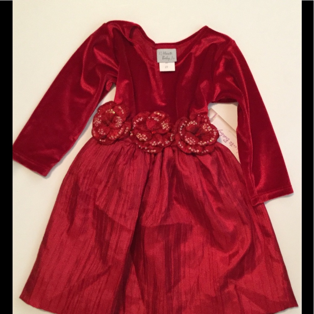Haute Baby Velvet Dress