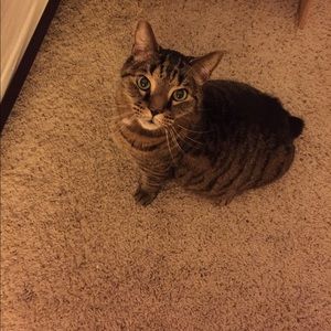 Meet your Posher, Madison