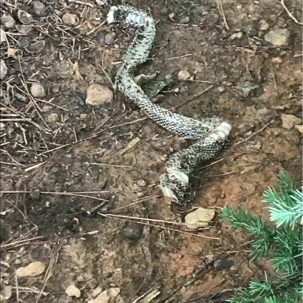 Meet your Posher, Ashleigh