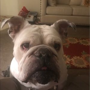 Meet your Posher, Julia