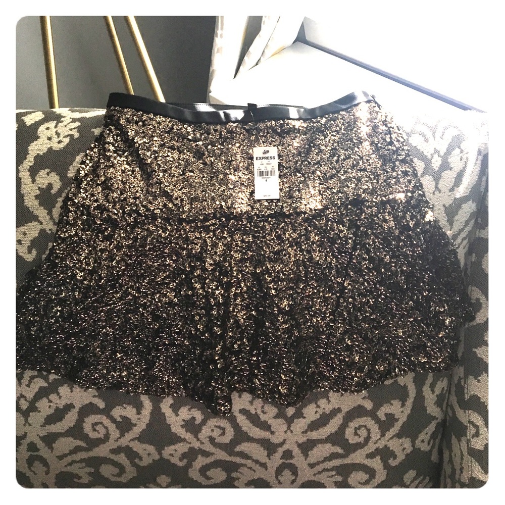 Express skirt, brand new