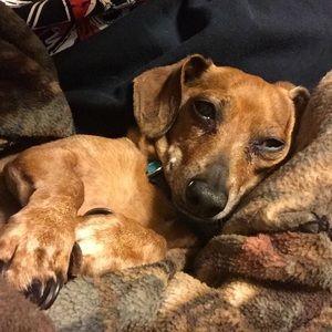 Meet your Posher, Kris