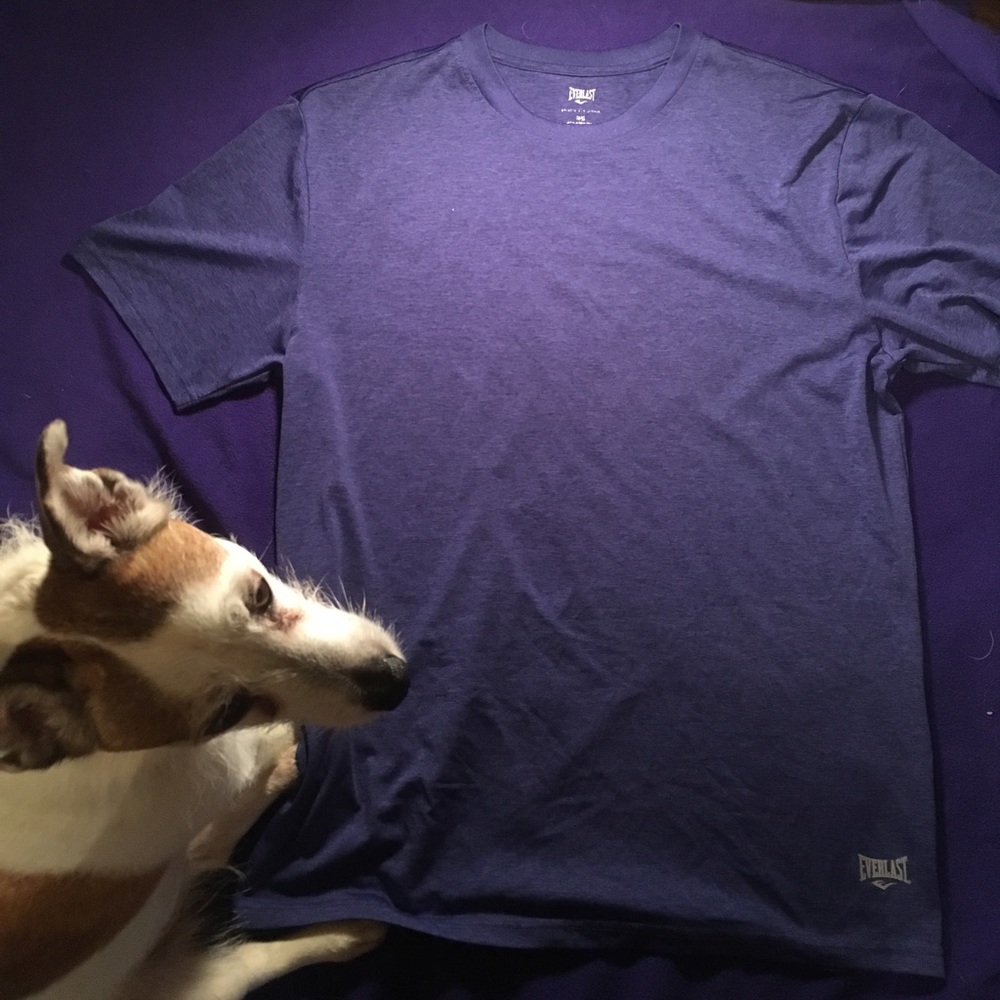Everlast shirt