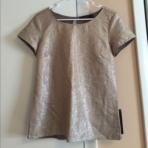 The Limited Dress Shirt