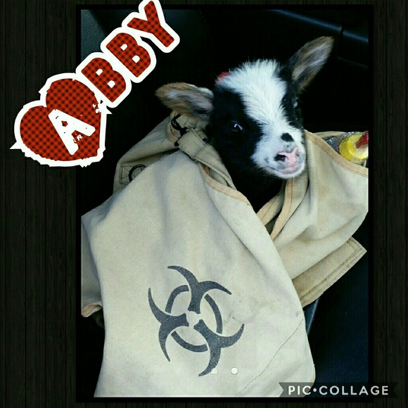 Greetings and Salutations! - Picture 3 of 6