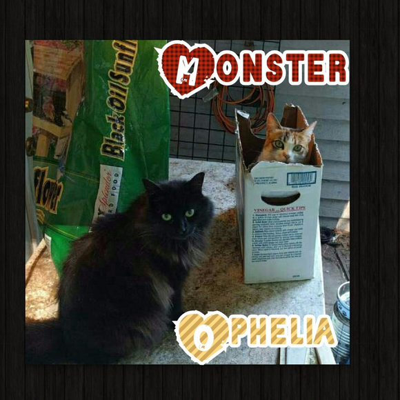 Greetings and Salutations! - Picture 6 of 6