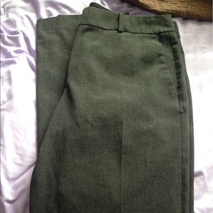 Ann Taylor Ann Fit Size 10