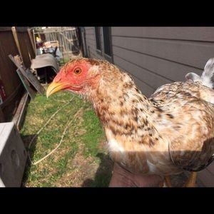 Meet your Posher, Eric