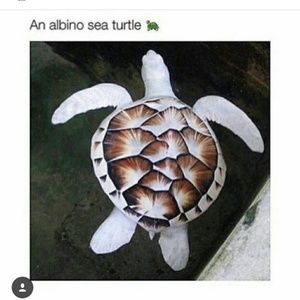 Meet your Posher, Christa