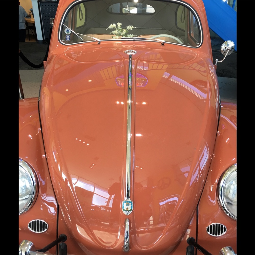 Meet your Posher, Maryglen